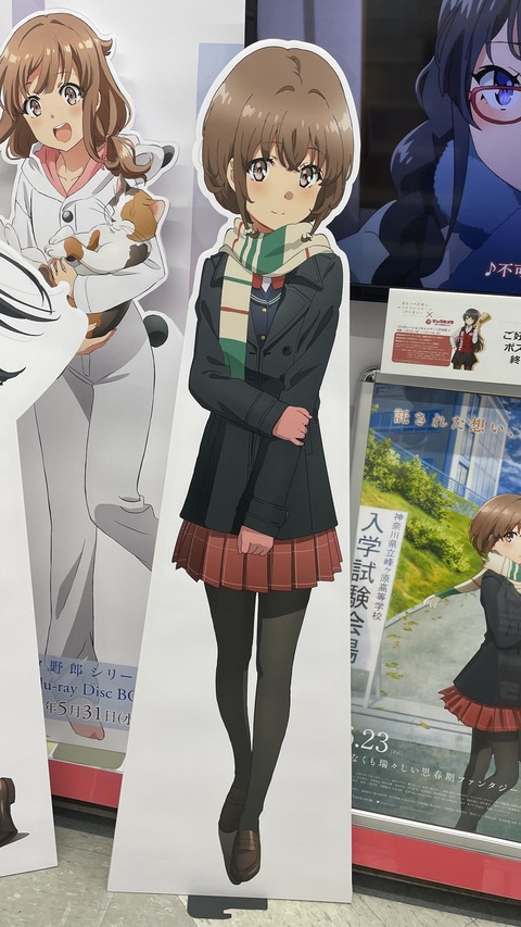 �ĥ֥�Ÿ��ŷ������³�� (19)