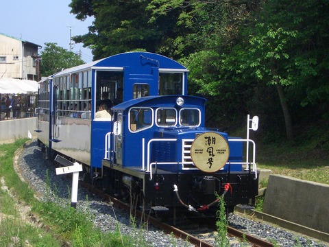 33936276.jpg