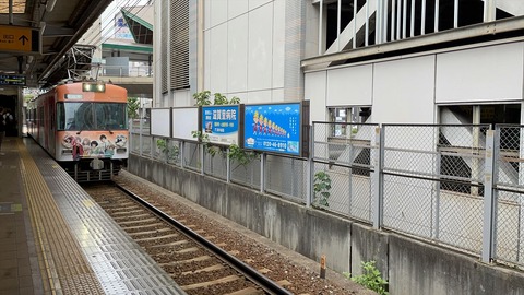 IMG_319795_