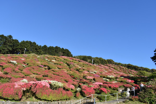 3a25d1f0.jpg