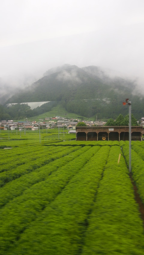 大井川鉄道 (92)