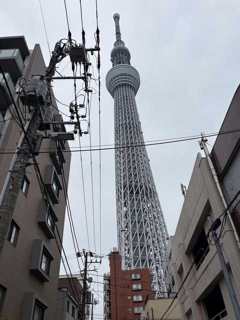 ������ܲ���������� (50)