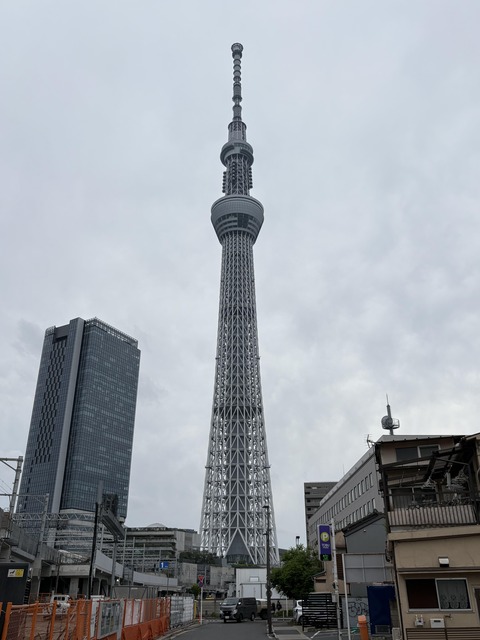 ������ܲ���������� (53)