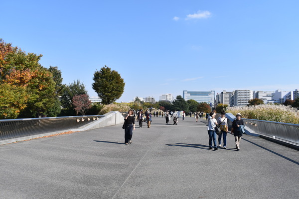 FAガール聖地巡礼(秋)後編 (3)
