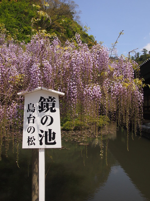 出雲大社いなこん聖地巡礼 (35)