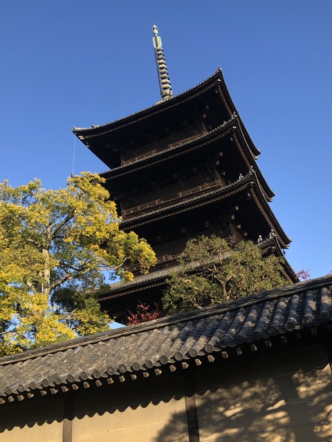 �����ƴ�2019 (46)