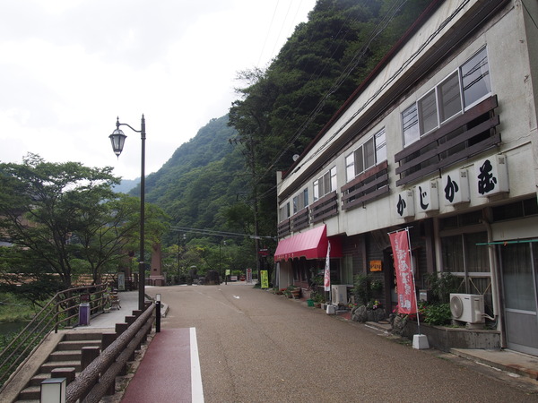 43e41a47.jpg