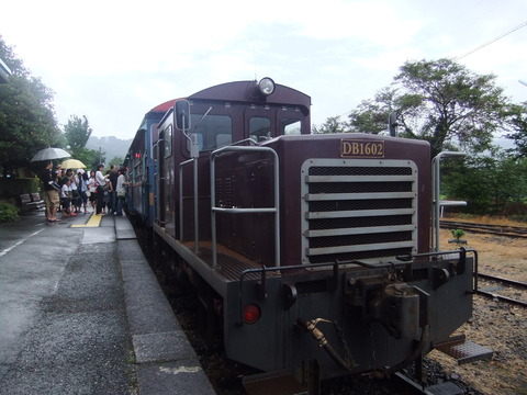 442c6f12.jpg