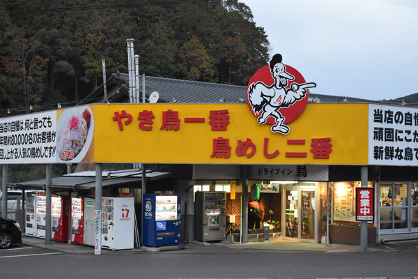 DSC_1241
