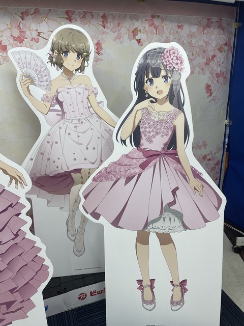 �ӥå�������ĥ֥������ (31)