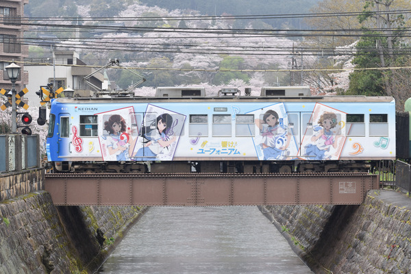 響け!ユーフォニアムラッピングと琵琶湖疏水の桜 (22)
