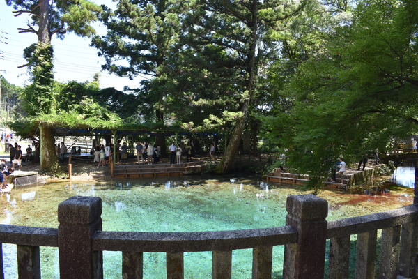 �Ƥ���ŷ�� (8)