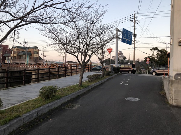 ZLS����ư0308 (48)