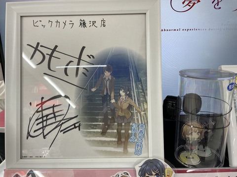 ���ĥ֥��˥��ɥ��륬����ƣ�� (30)