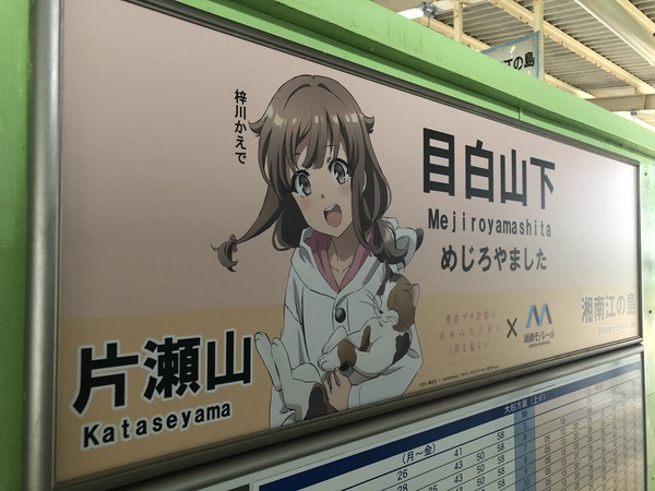 ����ܱ�̾ɸ�� (5)