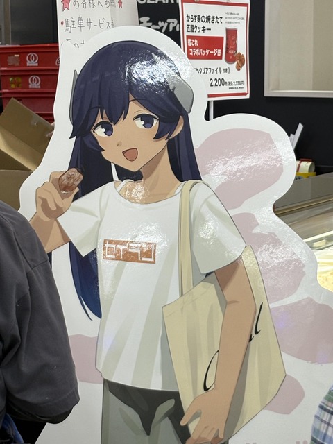 2025��Ϥ��쥳��� (33)