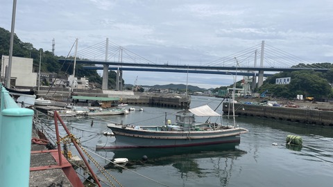 ��ƻ (3)