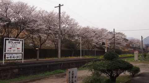4ef5562b.jpg