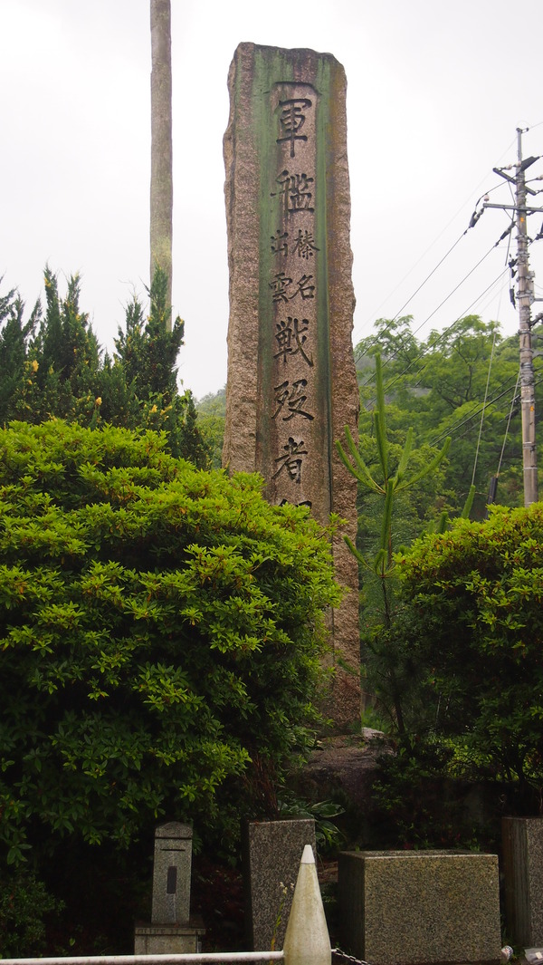 参考画像