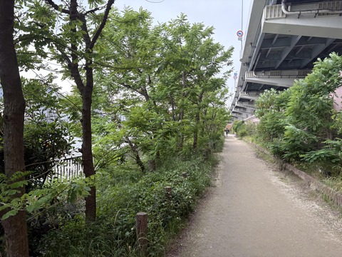 ������ܲ���������� (130)