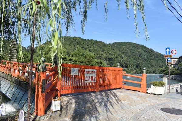 宇治線「響け!ユーフォニアム」HMと宇治聖地巡礼 (37)