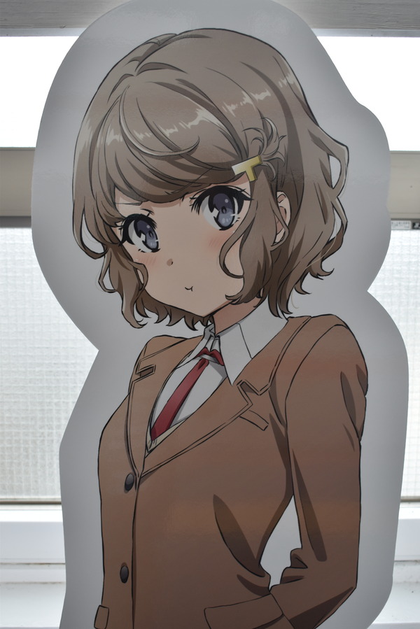 ������ѥͥ� (9)