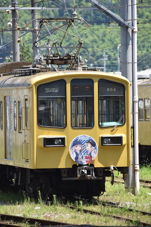 近江鉄道伊豆箱根鉄道コラボHM (13)