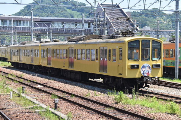近江鉄道伊豆箱根鉄道コラボHM (4)