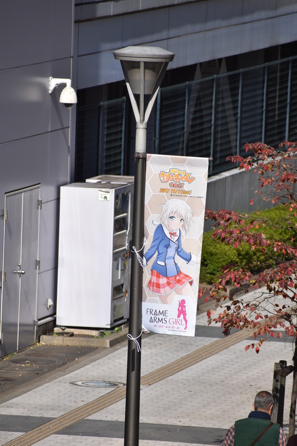 FAガールあにきゃんフラッグ (24)
