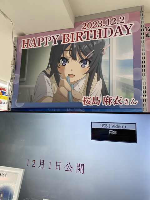 ���ĥ֥��˥��ɥ��륬����ƣ�� (31)