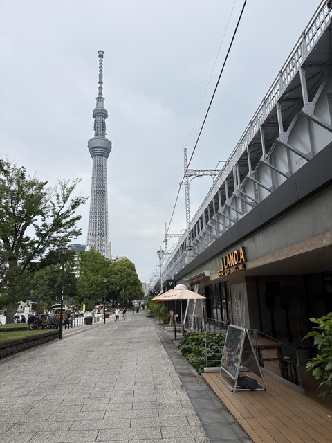 ������ܲ���������� (139)