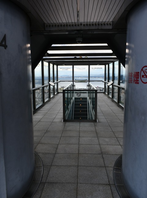 DSC_6623