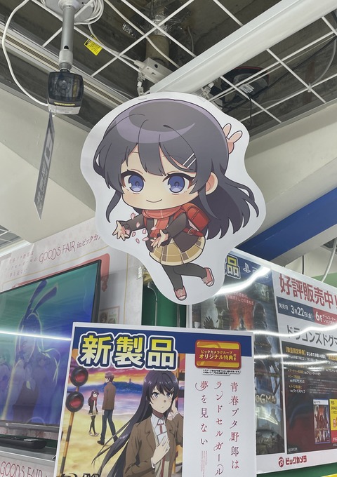 �ӥå�������ĥ֥������ (22)