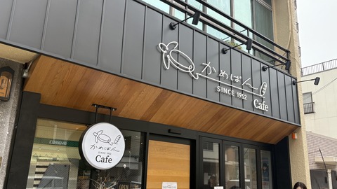 ������ܲ���������� (51)