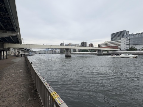 ������ܲ���������� (125)