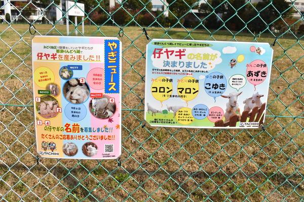 FAガール聖地巡礼(秋)後編 (24)