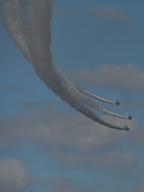 DSC_3120