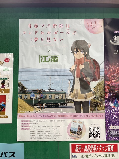 ���ĥ֥��˥��ɥ��륬����ƣ�� (6)