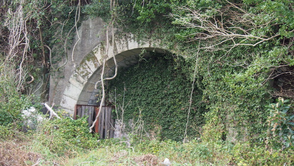 佐伯湾泊地 (30)