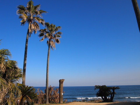 金ヶ浜海岸 (2)