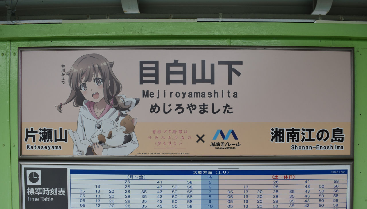 湘南モノレールの 青ブタ コラボ 渚屋blog