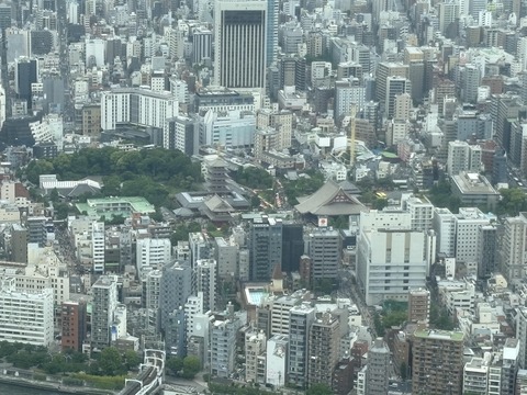 ������ܲ���������� (24)