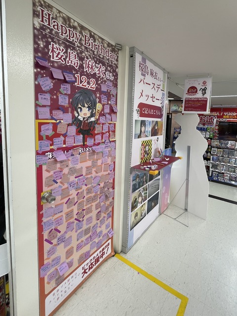 ���ĥ֥��˥��ɥ��륬����ƣ�� (27)