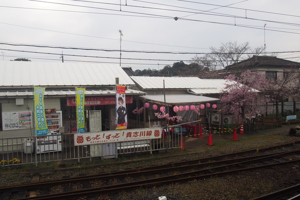 春の鉄道むすめ巡り和歌山電鐵編 (43)