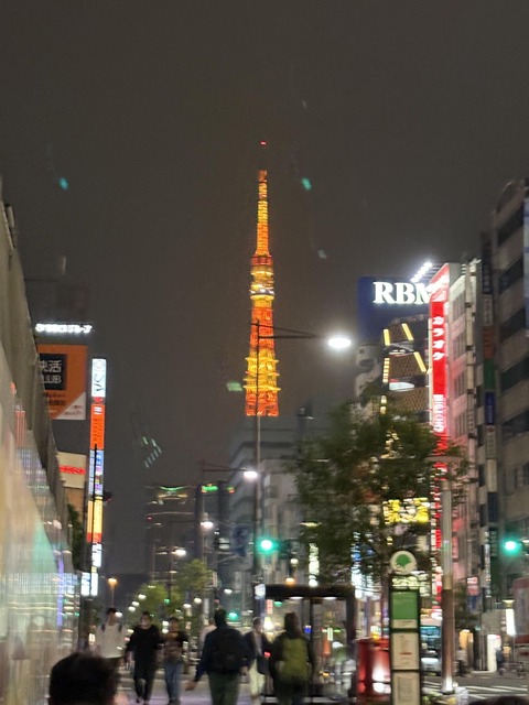 ������ܲ���������� (181)