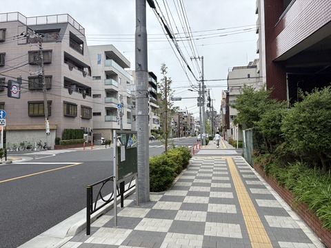 ������ܲ���������� (49)