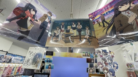 ���ĥ֥��˥��ɥ��륬����ƣ�� (38)