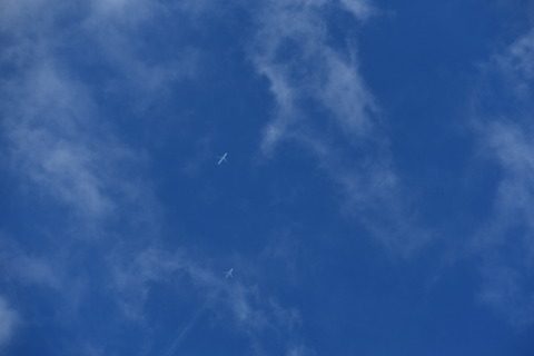 DSC_4999
