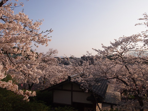 6d065a95.jpg