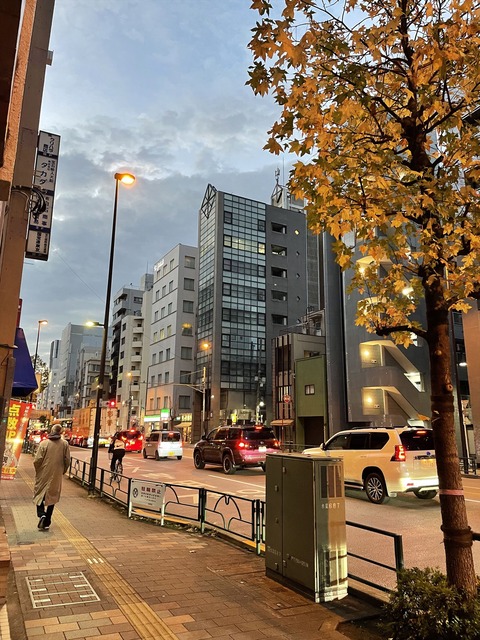 ���ɽ��ո��� (22)_